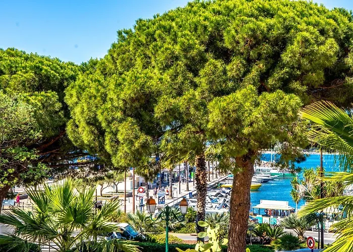 Hotel Les Palmiers